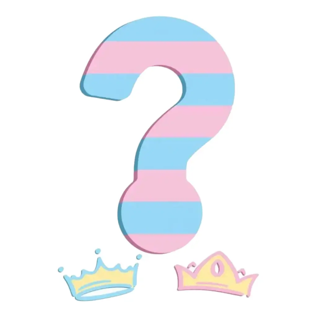 Guirlande fanions en papier Prince ou Princesse ? - 5m