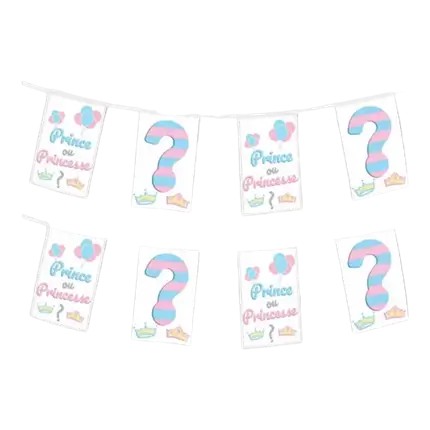 Guirlande fanions en papier Prince ou Princesse ? - 5m