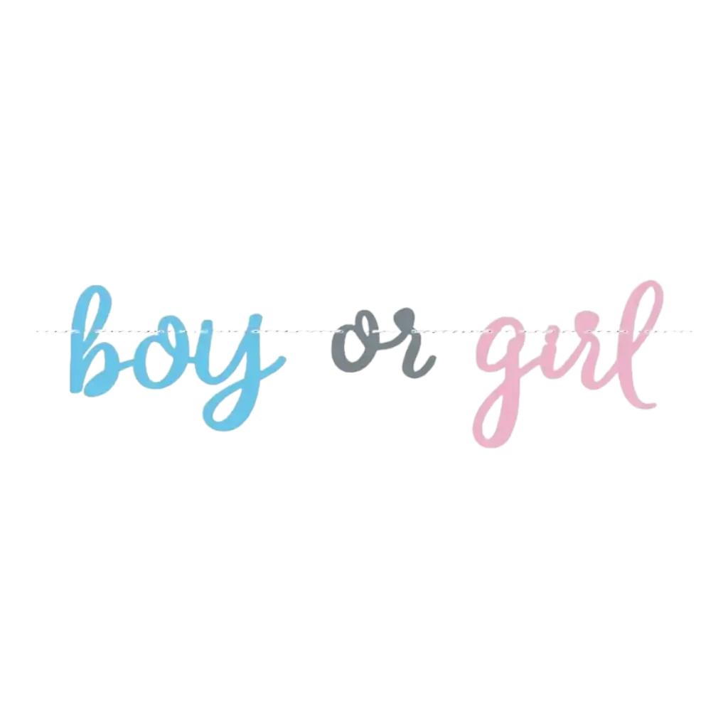 Guirlande en papier "Boy or Girl ?" - 213cm