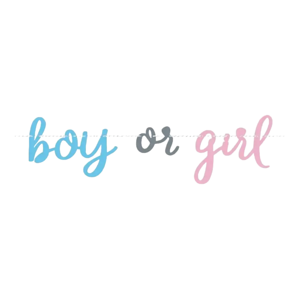 Guirlande en papier Boy or Girl ? - 213cm