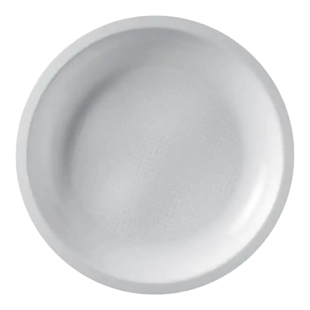 Assiette Plate Blanche - 22.5cm - lot de 25