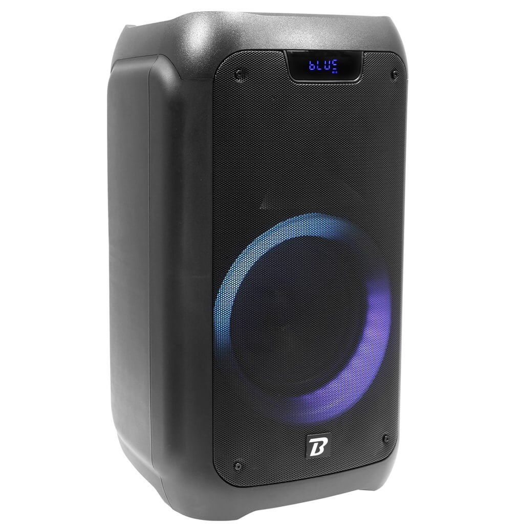 ENCEINTE PORTABLE - TRAVELER 300 - BOOMTONE DJ