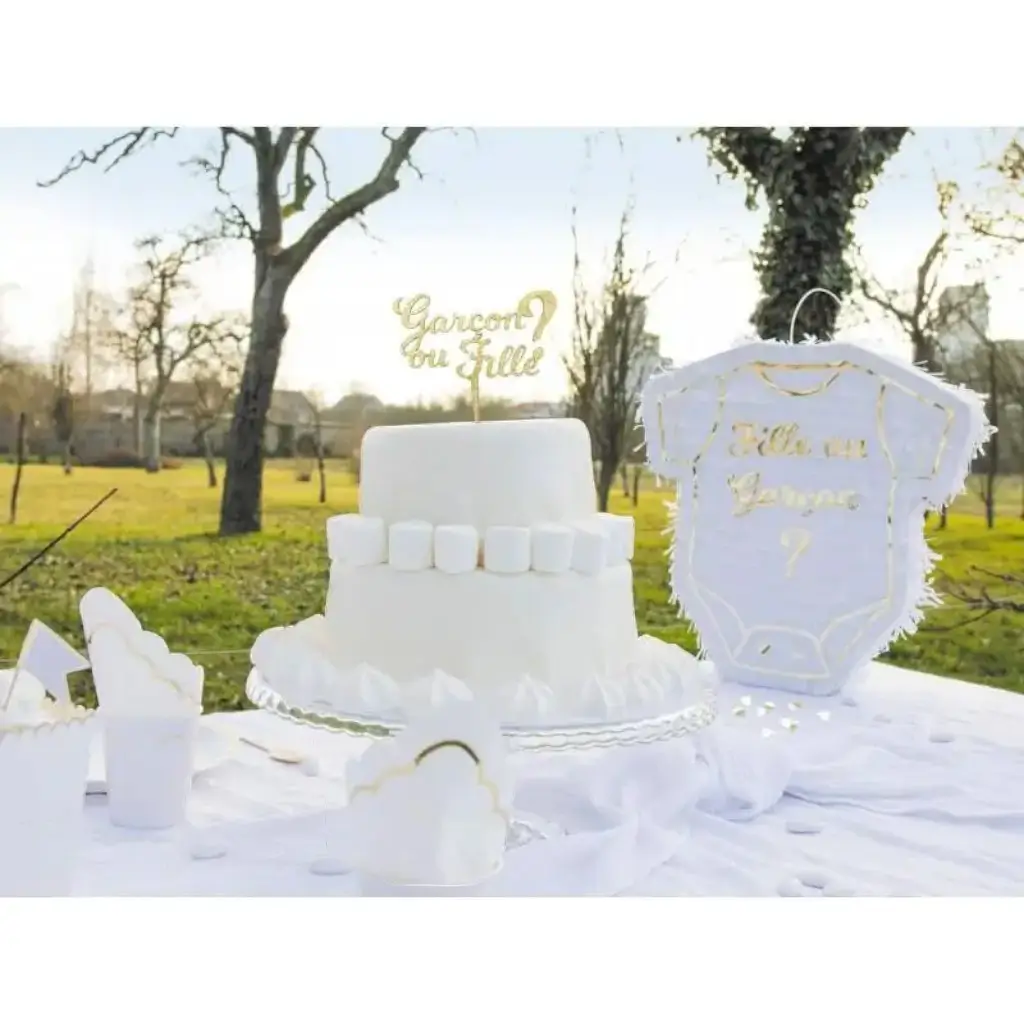Pic à gâteau Gender reveal Garçon ou Fille 