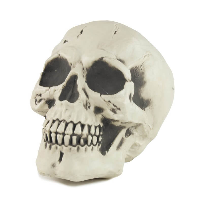 IDMOP Squelette d'Halloween en plastique taille réelle avec articulations articulées pour décoration d'Halloween (1 pièce IDMOP Squelette d'Halloween en plastique taille réelle avec articulations articulées pour décoration d'Halloween (1 pièce