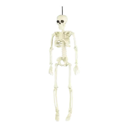 SUSPENSION SQUELETTE 40CM