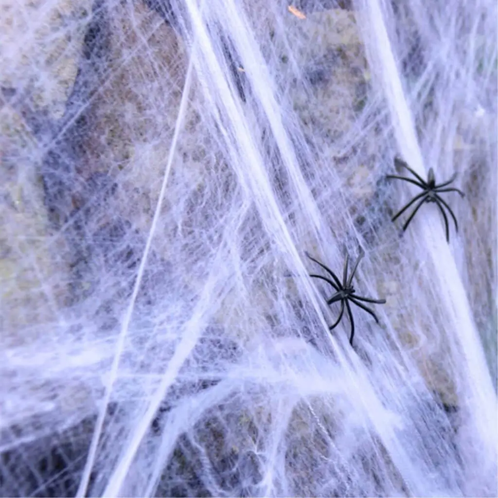 TOILE D&#39;ARAIGNÉE 300gr + 4 Araignées 