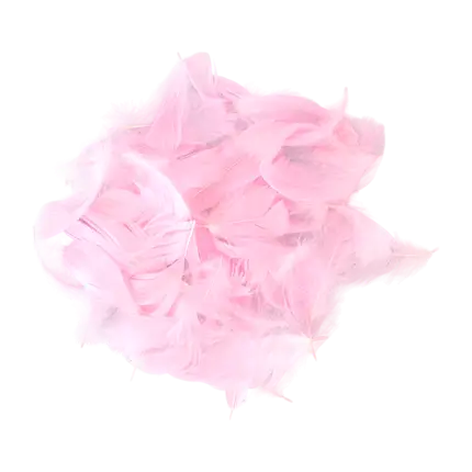 Plume de décoration - Rose Clair - 3g