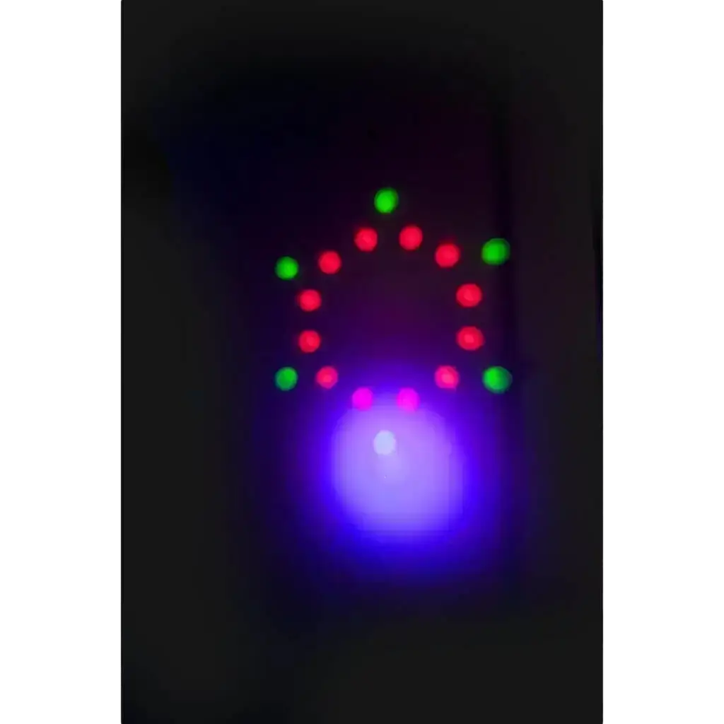 Support de Lumière 2 PAR LED RGBW &amp; 2 Moon Flower 