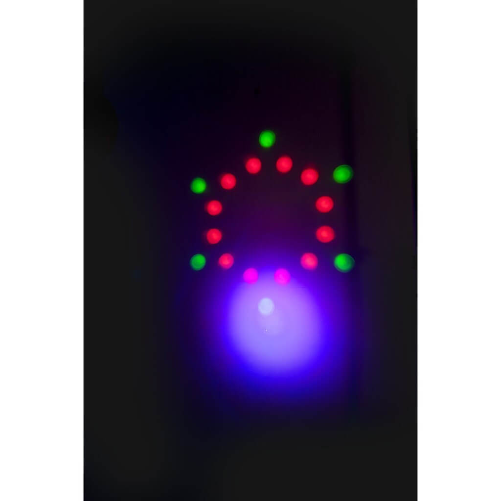 Support de Lumière 2 PAR LED RGBW & 2 Moon Flower 