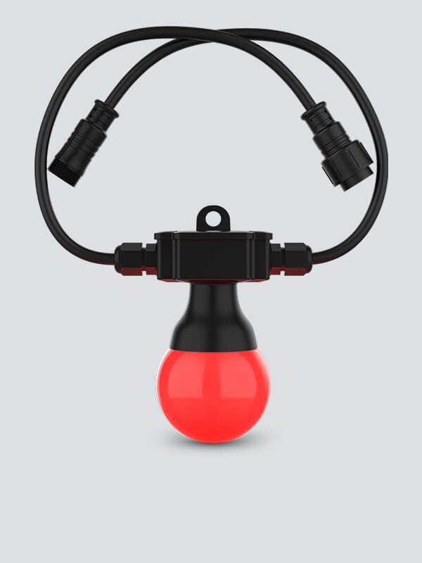 CHAUVET DJ - Guirlandes d'éclairage Festoon 2 RGB