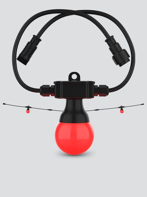 CHAUVET DJ - Rallonge pour Festoon 2 RGB