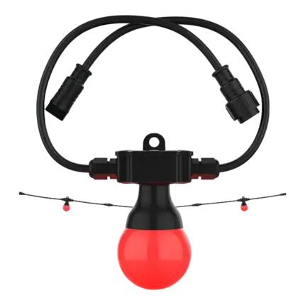 CHAUVET DJ - Rallonge pour Festoon 2 RGB