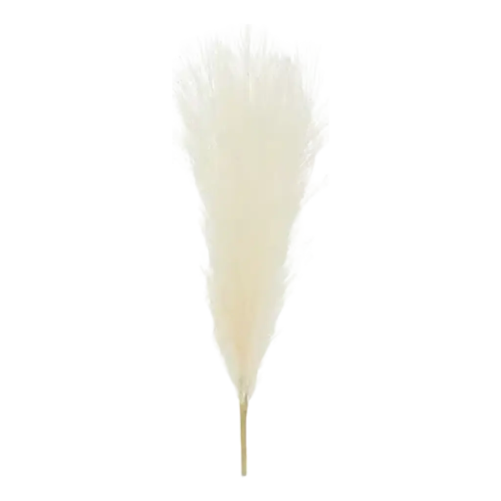 Herbes de Pampa artificielle couleur Crème - 10x45 cm