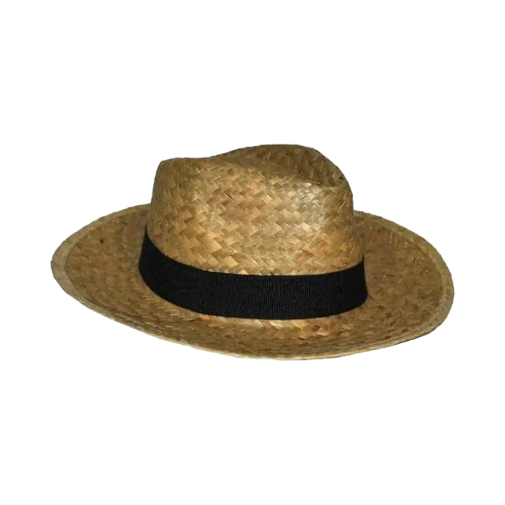 Chapeau en paille style PANAMA