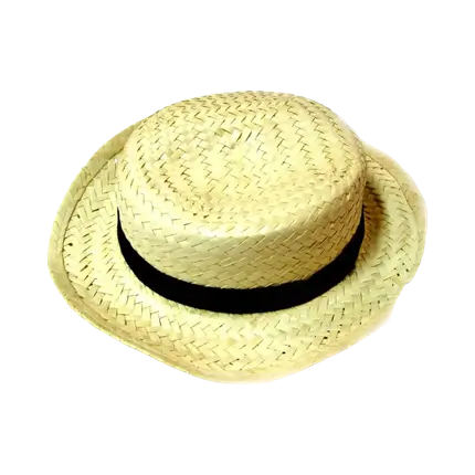 Chapeau de Campagne en Paille Tressée