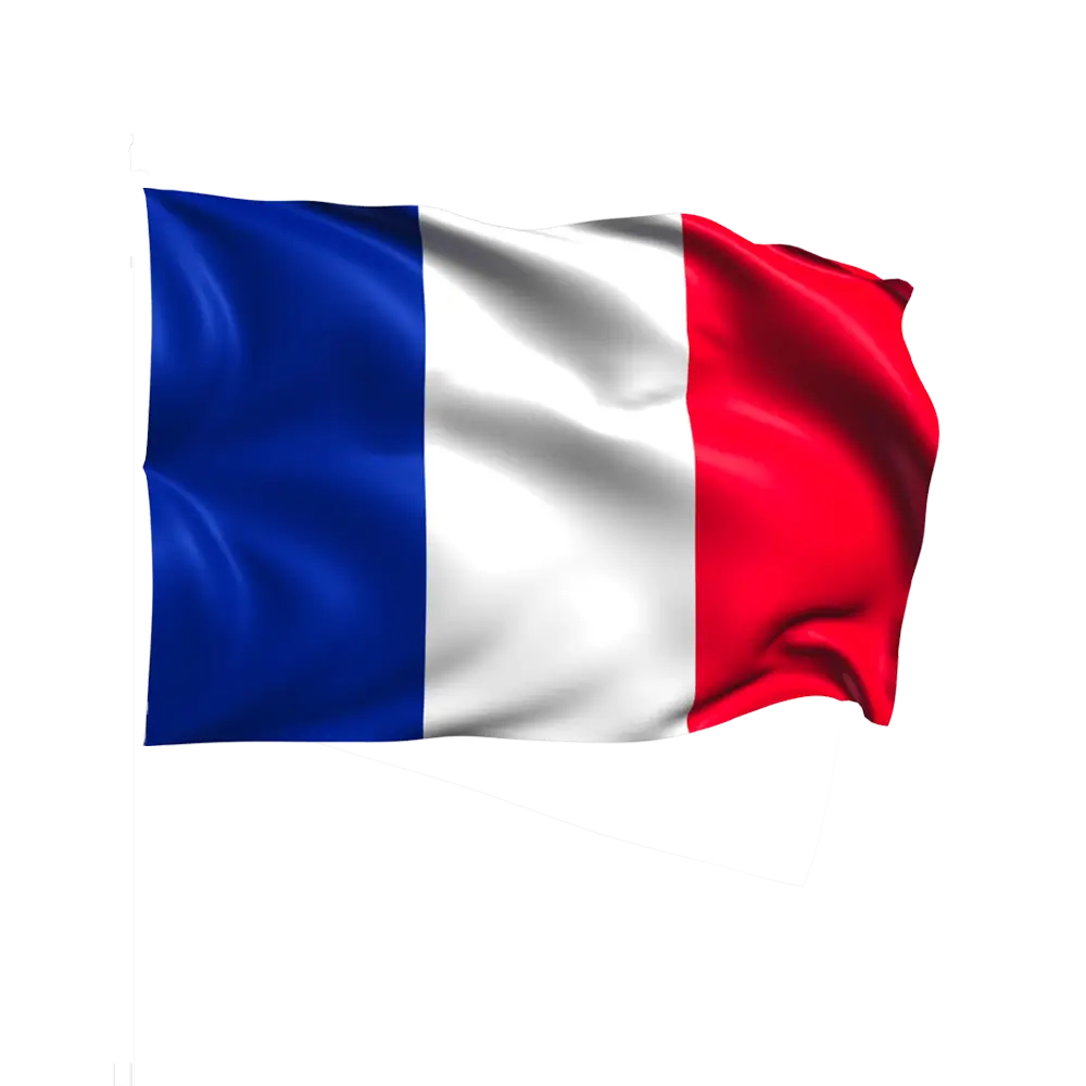 Drapeau France Tricolore 60x90cm