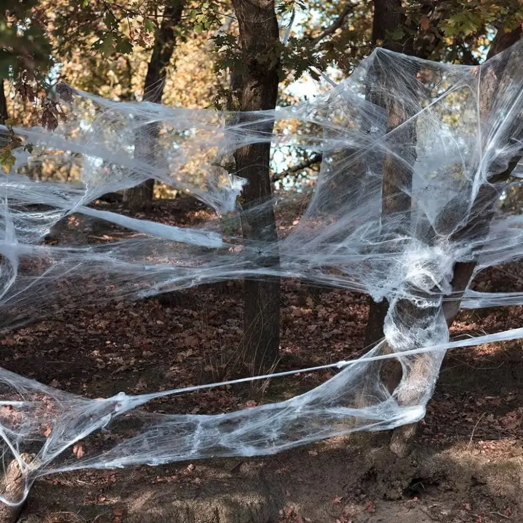 Toile d'Araignée Blanche avec Araignées Décoration Halloween