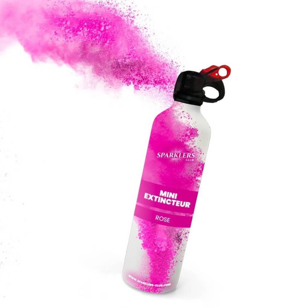 Mini Extincteur à poudre Holi - Rose