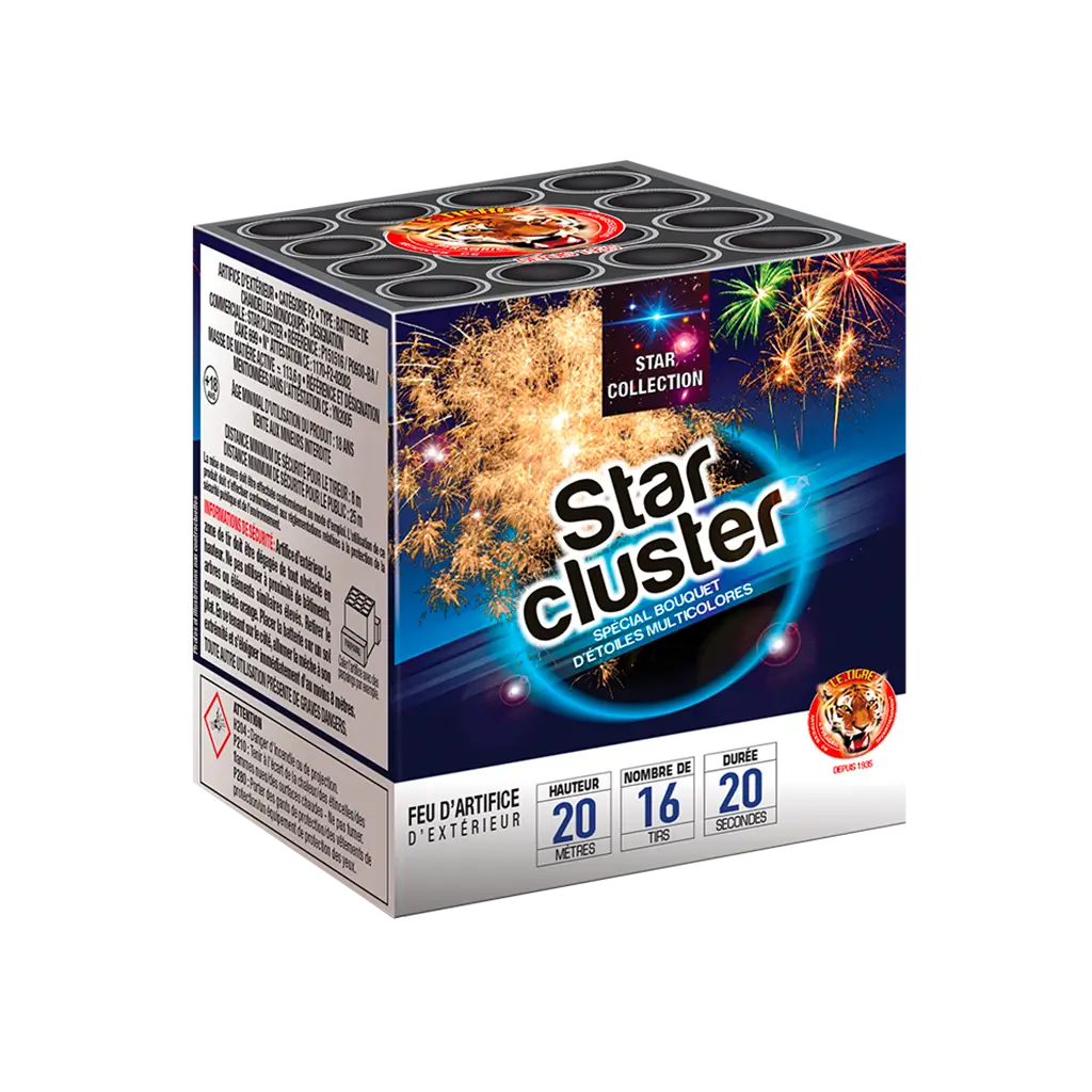 Feu d&#39;artifice COMPACT STAR CLUSTER - 20s