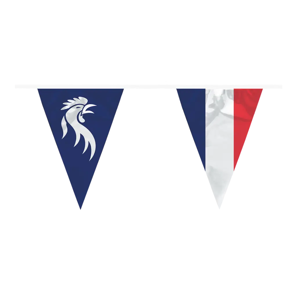 Guirlande de fanions Allez les Bleus
