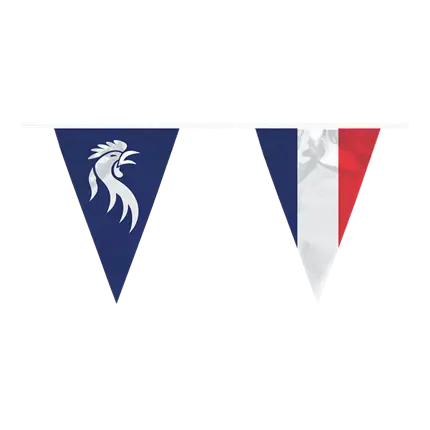 Guirlande de fanions Allez les Bleus
