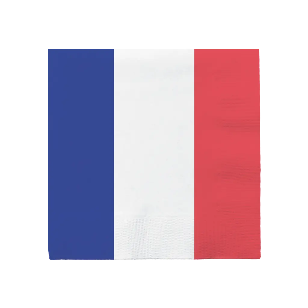 Lot de 20 serviettes en papier France