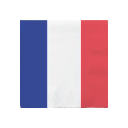 Lot de 20 serviettes en papier France