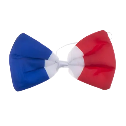 Nœud papillon France - 12x6cm