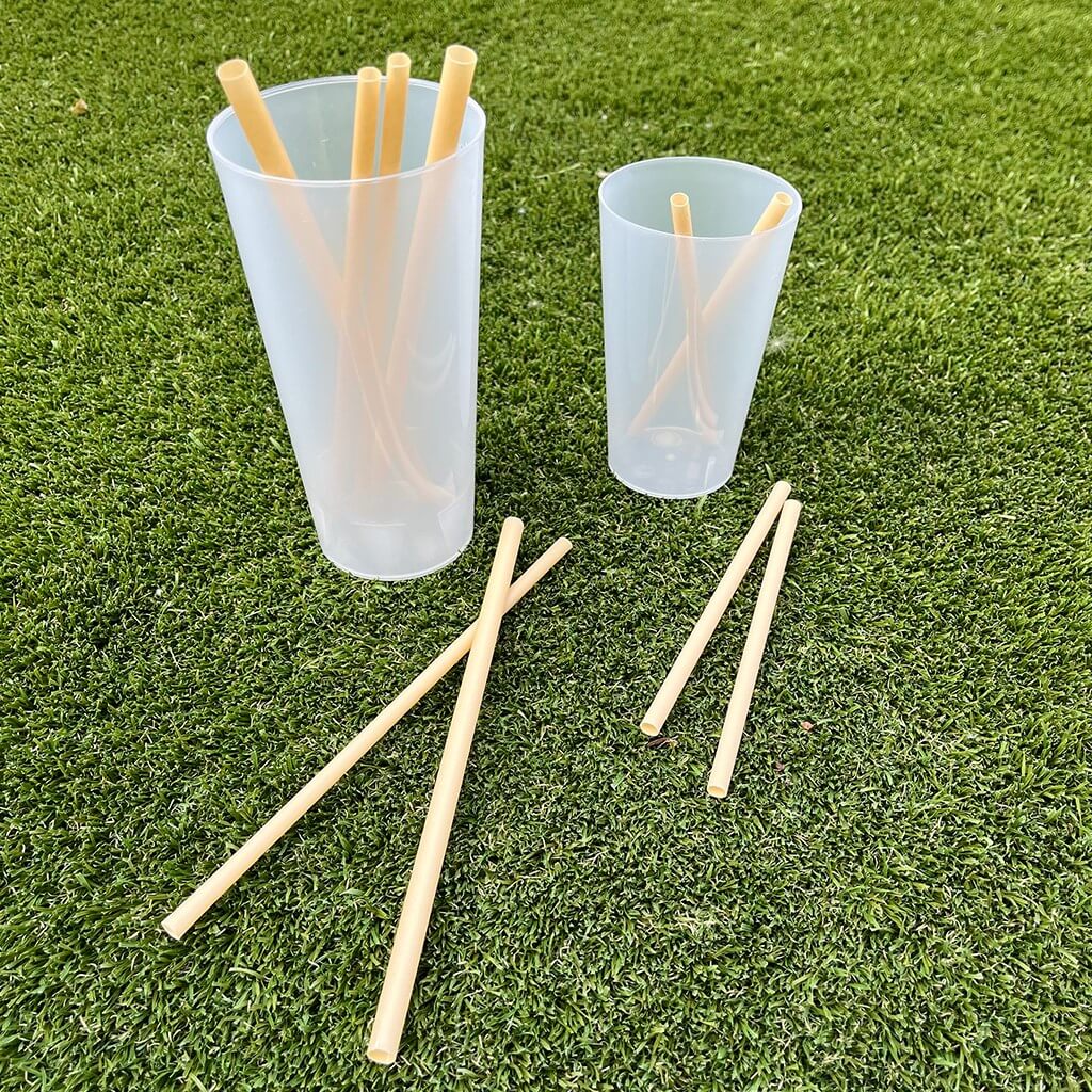 Paille Cocktail « Small » Fibre Végétale 15cm ø6mm 100% Biodégradable (lot de 250)