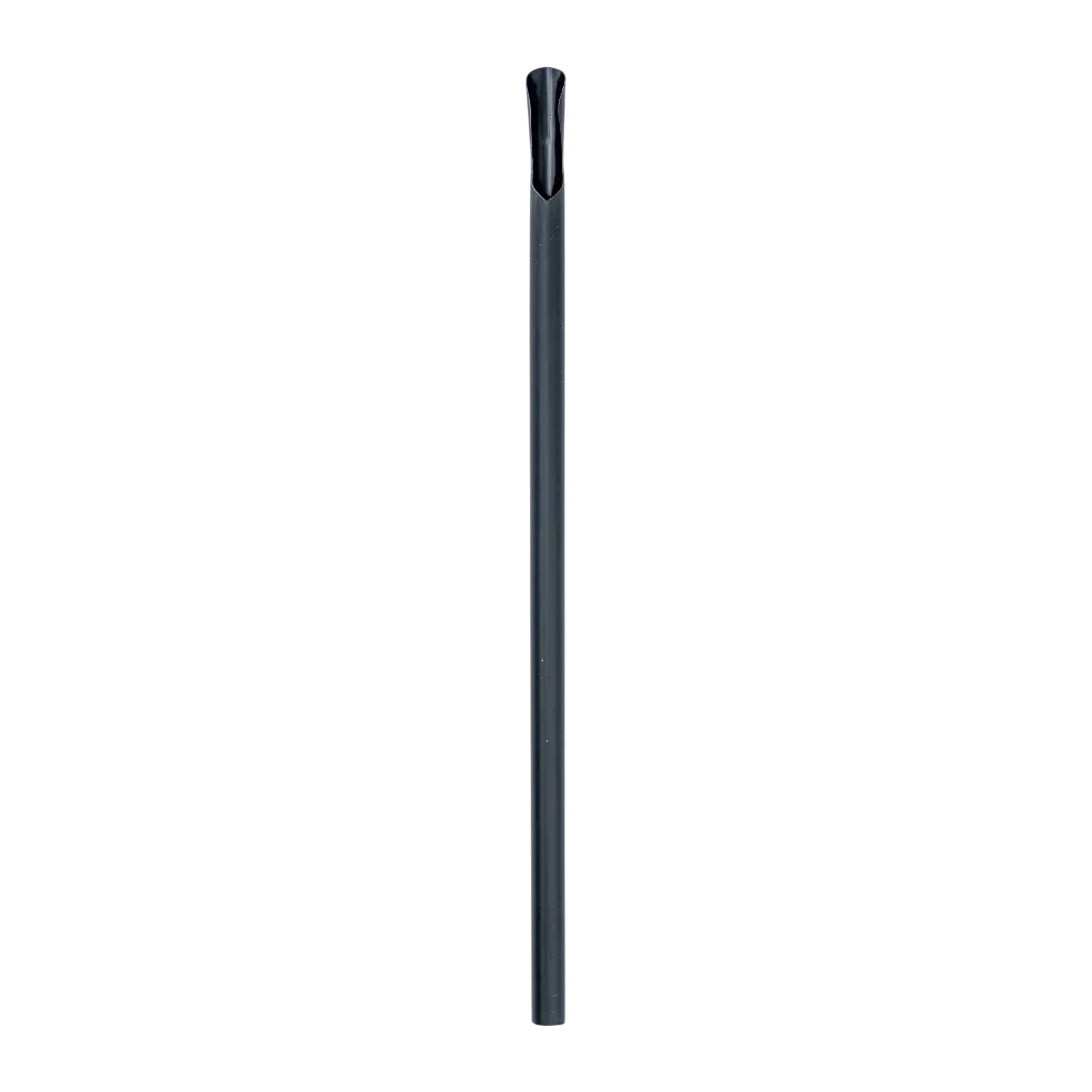 Paille Cuillère en PP noir recyclable 21cm ø 8mm – Certifiée alimentaire et réutilisable (Lot de 100)