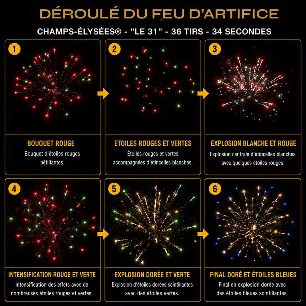 Feu d'Artifice Compact CHAMPS-ÉLYSÉES® - LE 31 - 36 Tirs - 34 secondes