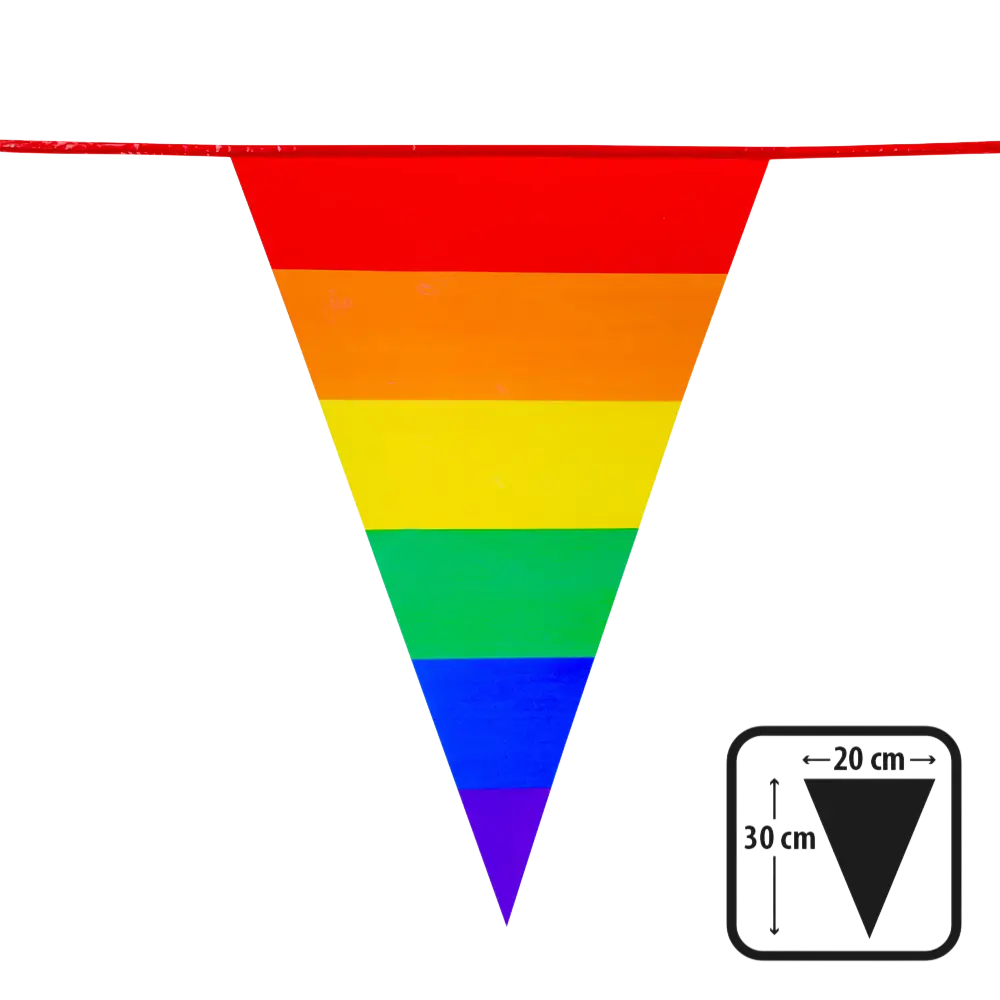 Guirlande de Fanions Arc-en-ciel – 10 m (30 x 20 cm)