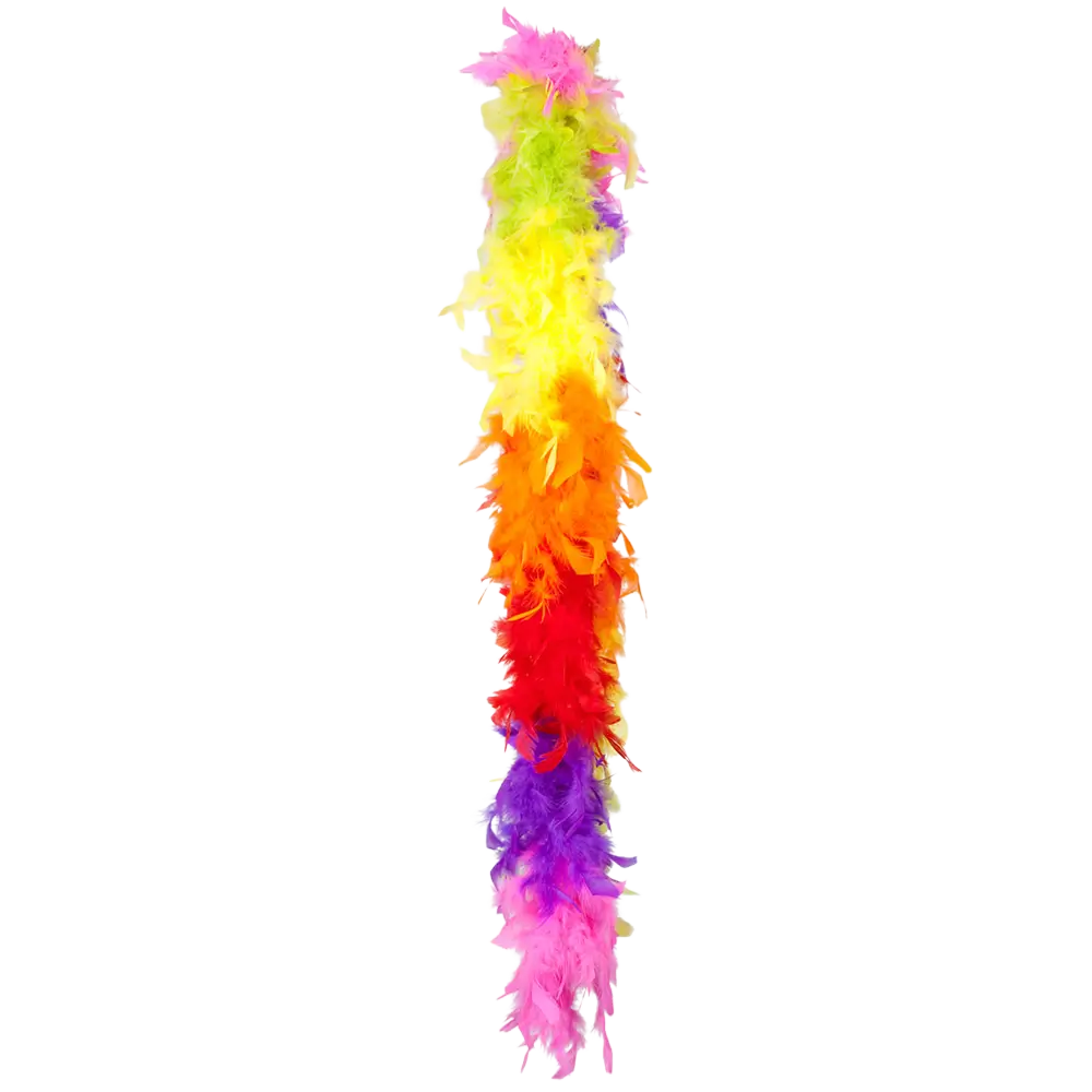 Boa Plumes Arc-en-ciel 180 cm – Accessoire Déguisement Pride, Carnaval et Soirée