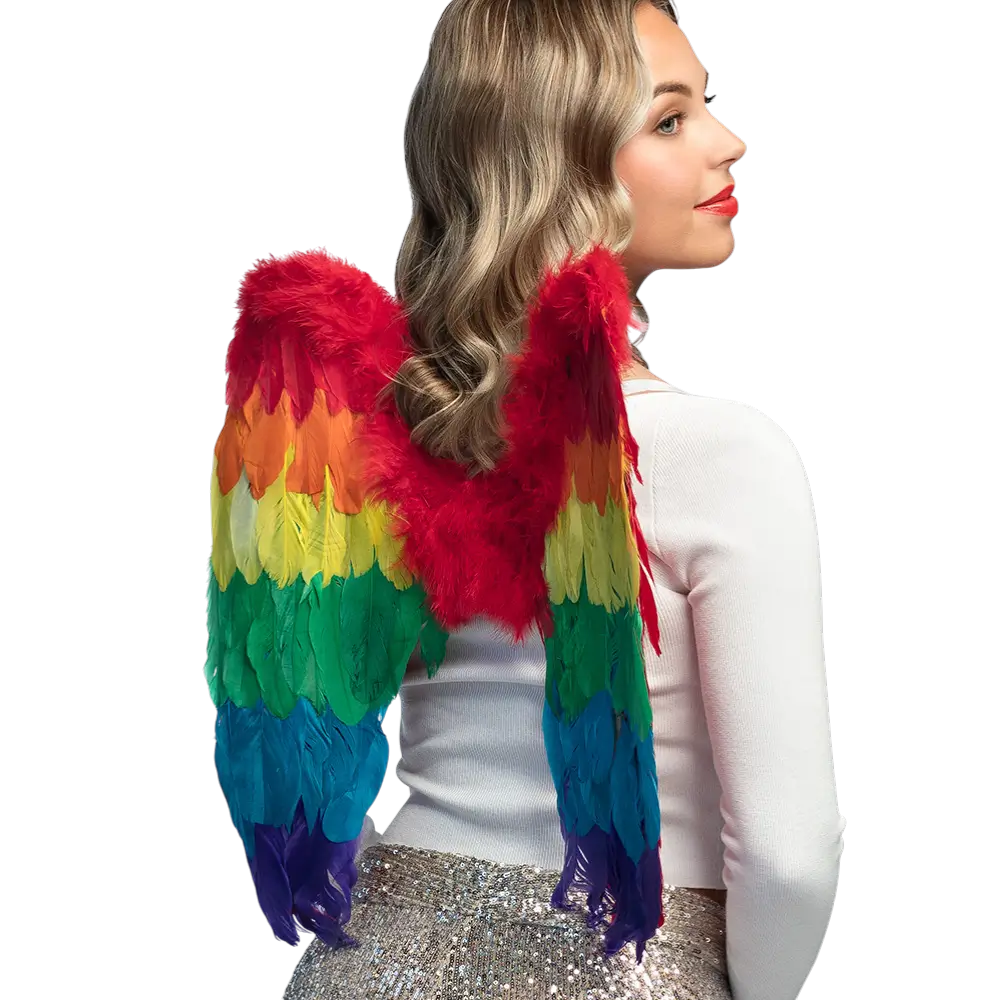 Ailes d’Ange Arc-en-ciel 50 cm – Accessoire Déguisement Pride, Carnaval et Festival