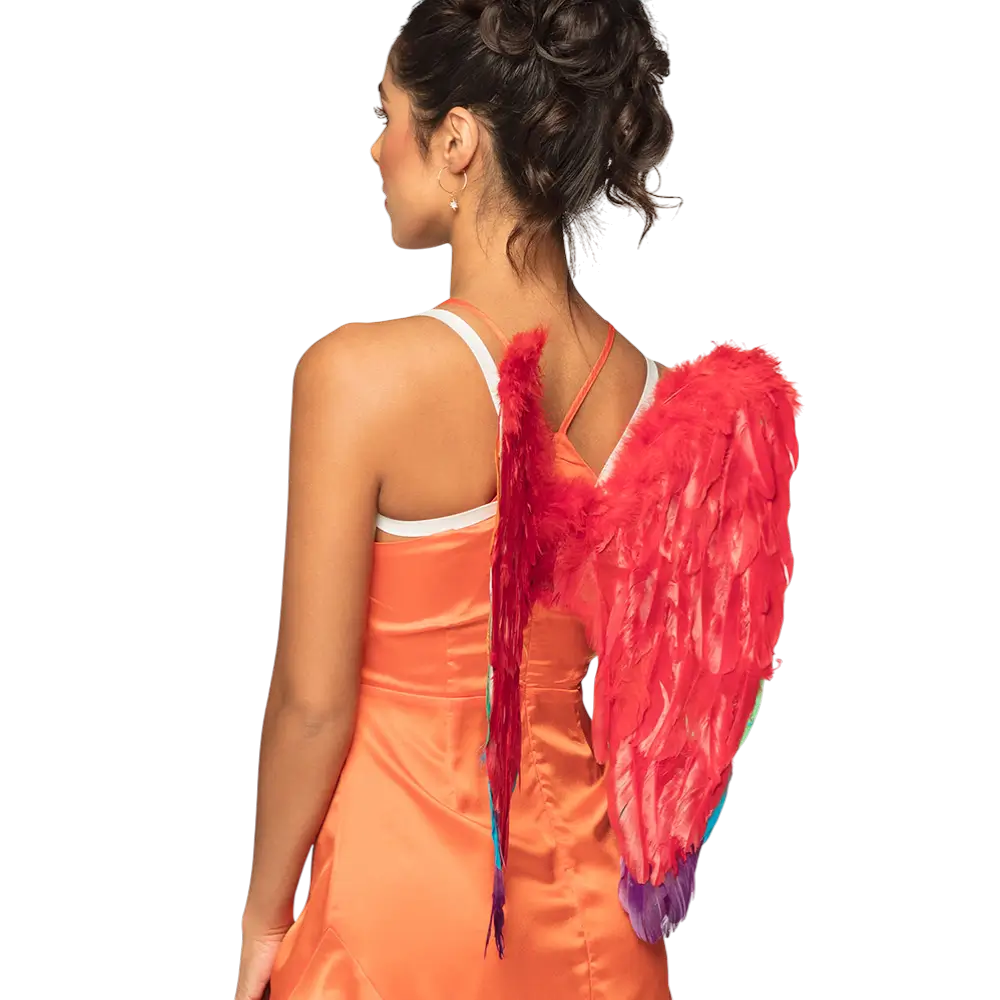 Ailes d’Ange Arc-en-ciel 50 cm – Accessoire Déguisement Pride, Carnaval et Festival