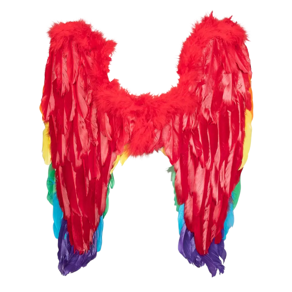 Ailes d’Ange Arc-en-ciel 50 cm – Accessoire Déguisement Pride, Carnaval et Festival