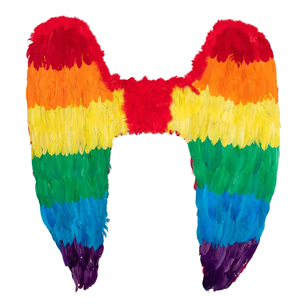 Ailes d’Ange Arc-en-ciel 120 cm – Accessoire Déguisement Festival, Pride et Carnaval