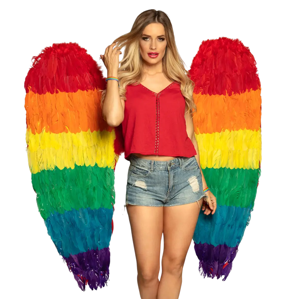 Ailes d’Ange Arc-en-ciel 120 cm – Accessoire Déguisement Festival, Pride et Carnaval