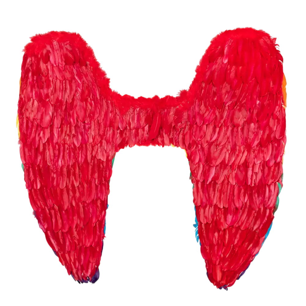 Ailes d’Ange Arc-en-ciel 120 cm – Accessoire Déguisement Festival, Pride et Carnaval