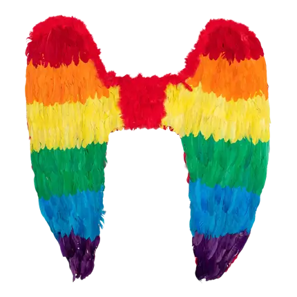 Ailes d’Ange Arc-en-ciel 120 cm – Accessoire Déguisement Festival, Pride et Carnaval