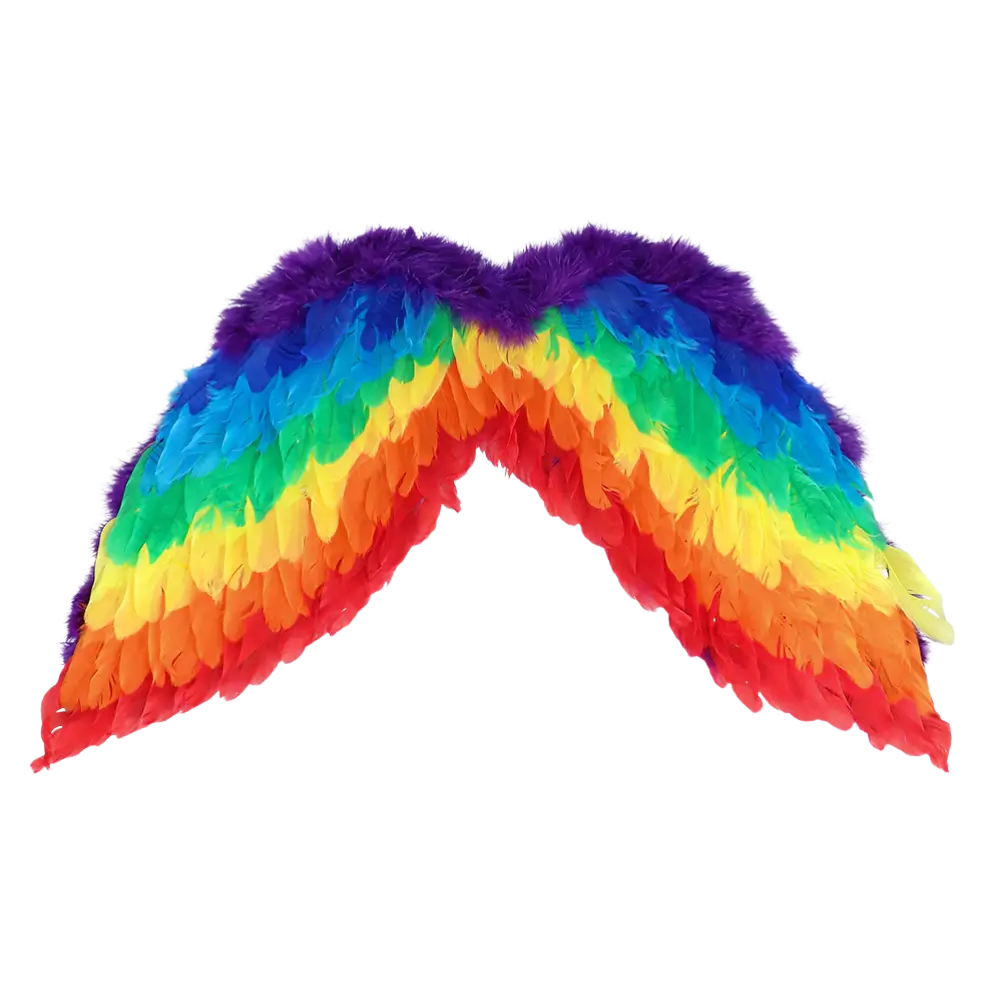 Set Ange Arc-en-ciel – Ailes 60 x 40 cm &amp; Tiare Auréole Pride