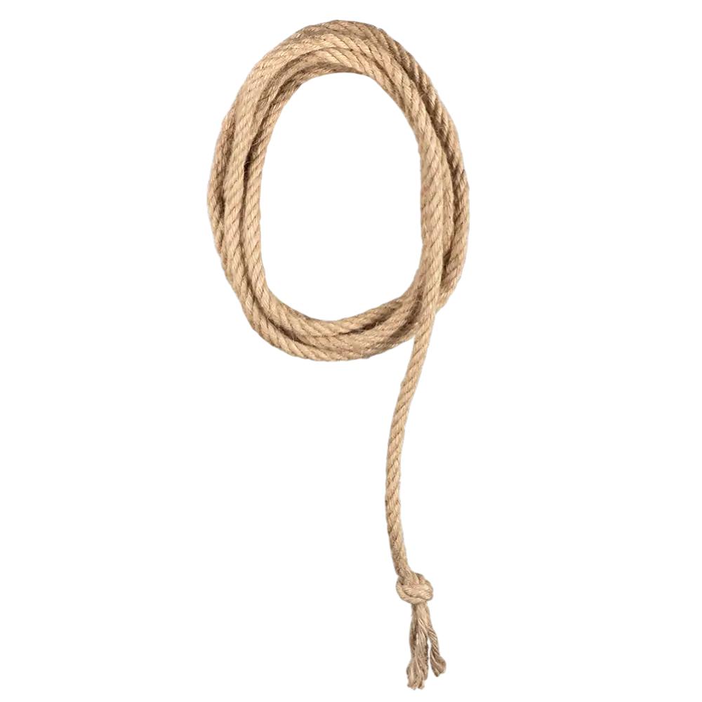 Lasso Western 185 cm – Accessoire Cowboy Far West