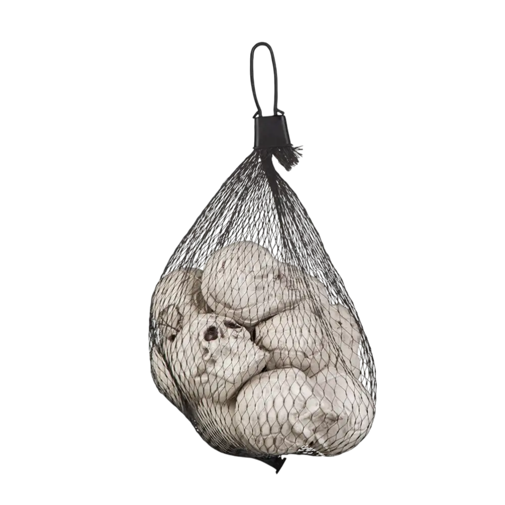 Lot 12 têtes de mort