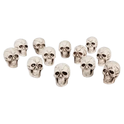 Lot 12 têtes de mort