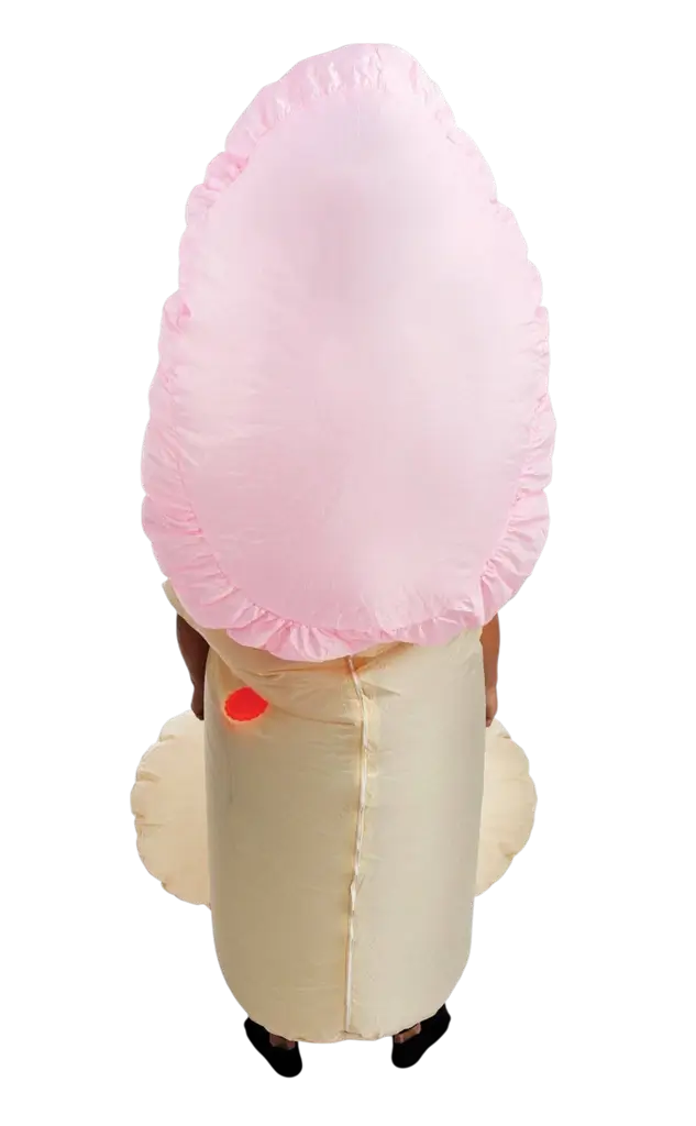 Déguisement Gonflable Zizi Adulte – Costume Humour EVJF Taille Unique