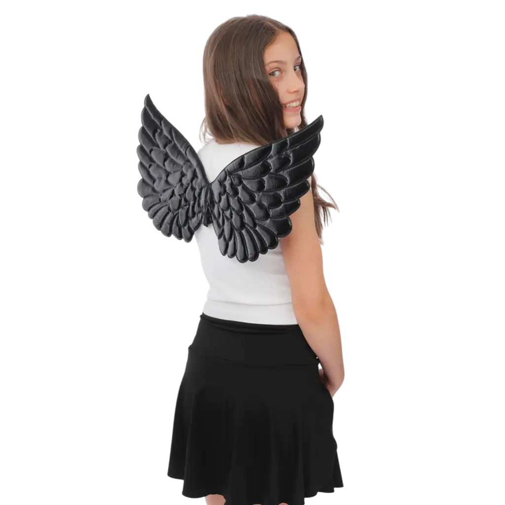 Ailes d’Ange Noires 62 cm – Accessoires Déguisement Ange ou Démon