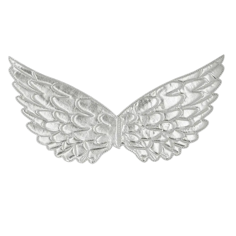 Ailes d’Ange Argent – Déguisement Ange Femme Soirée Carnaval Halloween