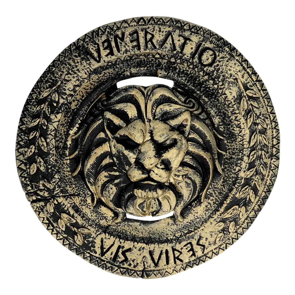 Kit Chevalier Enfant – Accessoires Déguisement Garçon