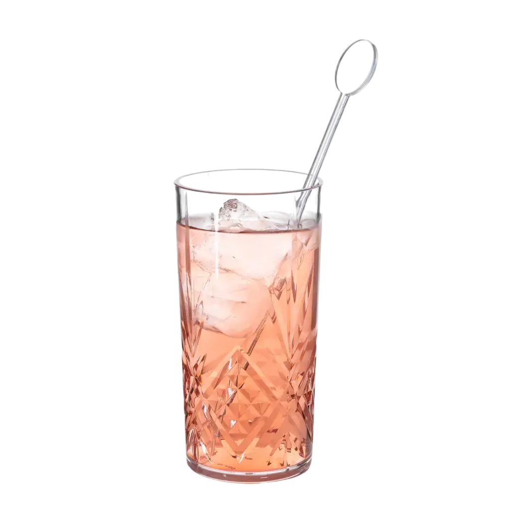 Agitateur à Cocktail Standard 22cm en PP Transparent - Réutilisable (Lot de 100)