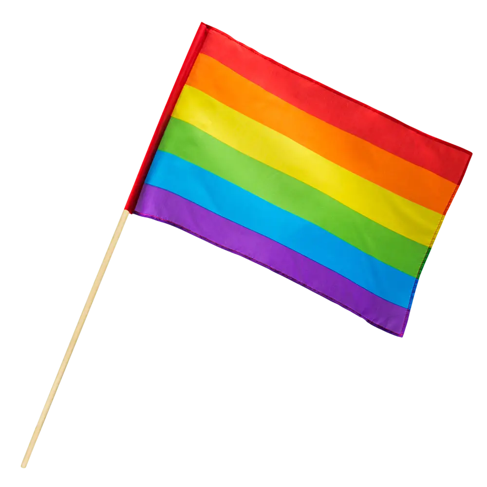 Drapeau Arc-en-ciel à Main – Drapeau Pride LGBTQ+ avec Bâton